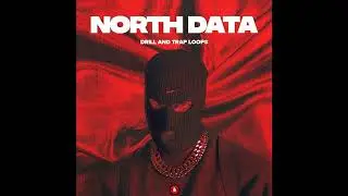 NORTH DATA (Demo)