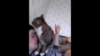 кот моет  хозяина ))  вот они настоящие чувства