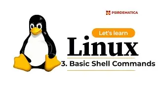 3. Basic Shell Commands