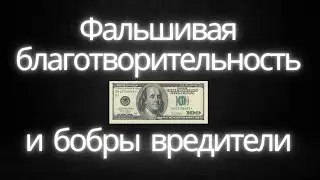 Благотворительность Напоказ и ее Вред Личному Бренду