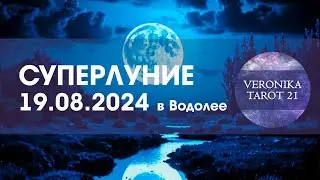 Суперлуние 19 08 24 Таро прогноз для всех знаков зодиака