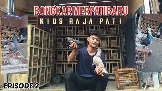 BONGKAR MERPATI BARU PART II