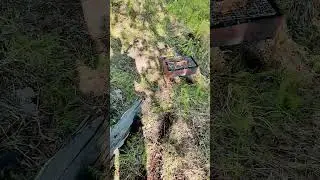 Чем мне нравится Норильск Летом