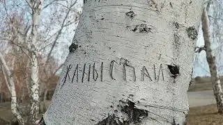 пожар.ауликоль.жизнь продолжается
