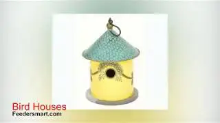 Feeders Mart