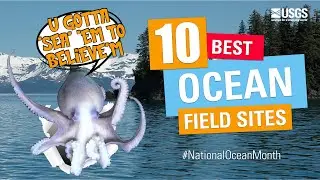 National Ocean Month: 10 Ocean Field Sites You’ve Got to “Sea” to Believe