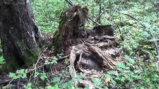 Один день часть 3