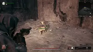 Remnant 2_r u ok dog..?