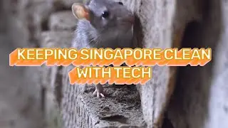 Thermal Camera for Rats