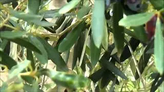 Привет из солнечнoго Израиля