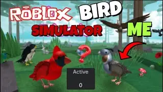 [BIRD SIMULATOR] Exploring old Roblox games (Part 2.)