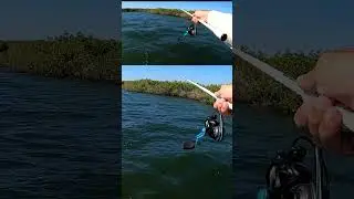 Pescando con LLAMADOR y Camarón artificial
