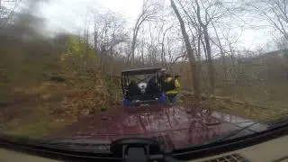 небольшая поездка по лесу
