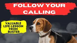 What My Dog Can Teach You About Trusting Your Gut