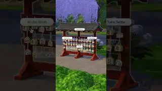 Write wish 