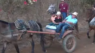 Festa do cavalo em Pingo D'água MG - Ano 2022 - Video clip