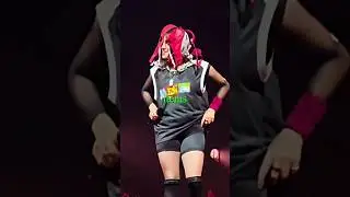 Fans throw CRAZY stuffs on stage 😳 (Billie Eilish, Tyler The Creator, Eminem)