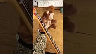 #Basssquirrel plays „Knucklehead“ by Grover Washington Jr., original bassline by Louis Johnson