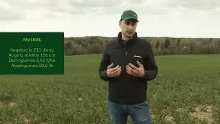#4 Darbai balandžio pabaigoje, ryškėjantys veislių skirtumai | 3... 2... 1... Derlius