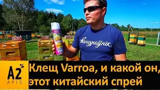 Kill the mite # varroa and not kill yourself: the Chinese spray test
