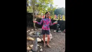 Mary's Backyard Bird Adventures