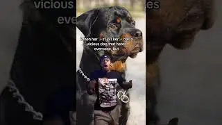 when the dog can see that he is a red flag but we all are colourblind 🚩