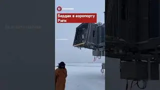⚡️ Бардак в аэропорту Риги - АЙНАРС ШЛЕСЕРС