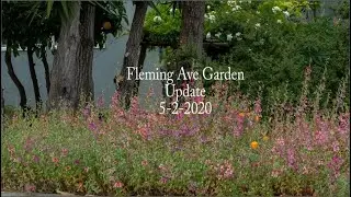 The Fleming Ave Garden Part 2
