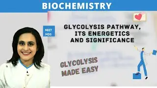 What's the REAL Significance of Glycolysis in Your Body?
