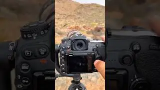 #wildlife
