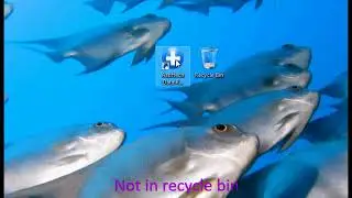 Recover deleted files on windows computer