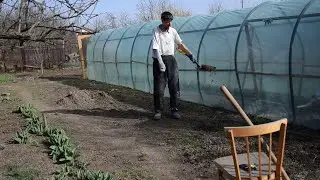 Посадил редиску, петрушку, под плёнку.