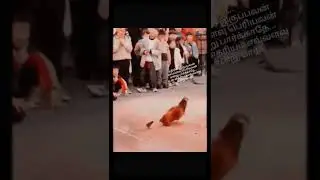 எதற்கும் பயன்படாதே...