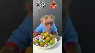 Eat fruit according to the label