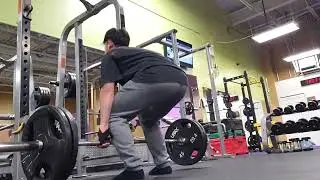 Cut Day 8 - Deadlift, Bench, Upper body (AMRAP)