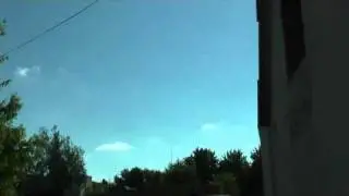 Четыре в одном голуби г.Геническа