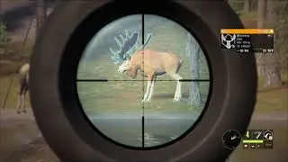 TheHunter Call Of The Wild!! Great One Moose Number 7 and 8