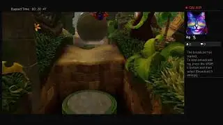 Live Stream