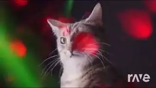 4a4459c2 bd72 4eae 9a06 703f02156a7e720