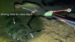 Ano 'to, Isdang nakadapa sa buhangin ??🤔  #fishing #spearfishingphilipines #thankyouLord #fish #subs
