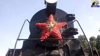 Паровоз который везёт ЗИЛ легендарную Катюшу