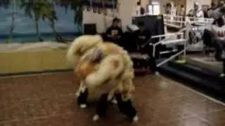 lion dance