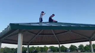 He Peed On The Roof!!! 