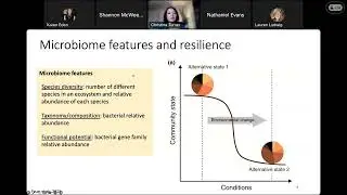 "Evaluating intestinal microbiome..."