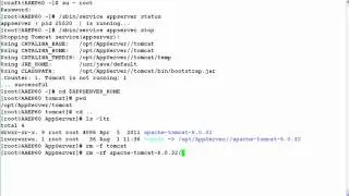 How to Uninstall Tomcat Application Server from Avaya Aura Experience Portal 6.x
