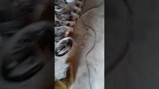 Капкан ка 2  своїми руками.  Перша частина як зробити капкан ка 2  своїми руками