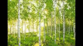 Моя Россия песня про Россию #Россия лучшие песни. Пример.