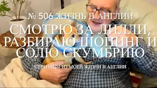Присматриваю за Лилли, разбираю сумки с шопингом, солю скумбрию. № 506 Жизнь в Англии