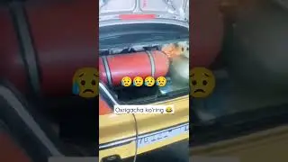 rasmga ol. portladi