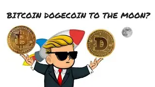 Bitcoin + Dogecoin to the Moon? TINA...